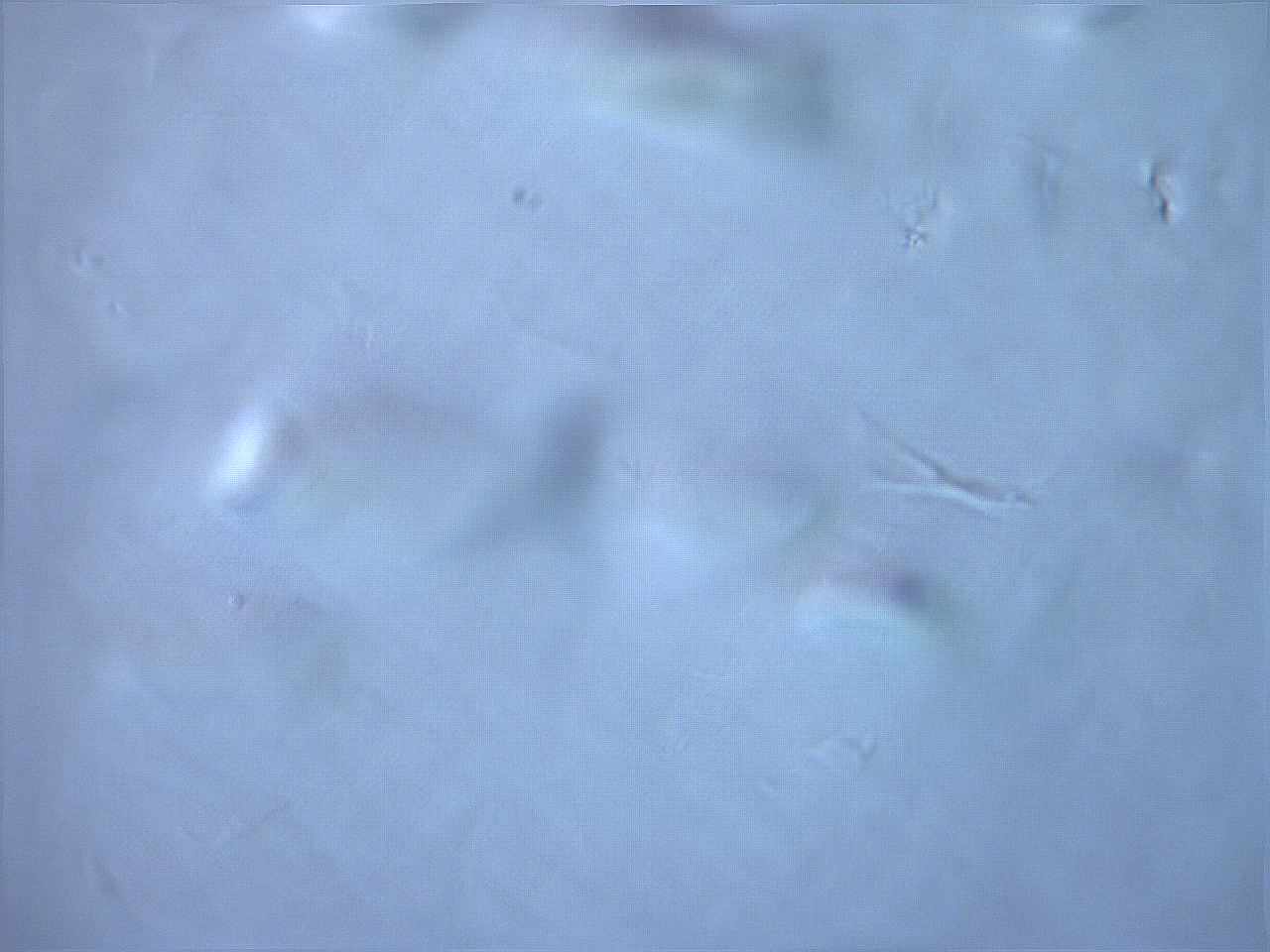 06fa_G11_ImagerDefaults_m.jpg