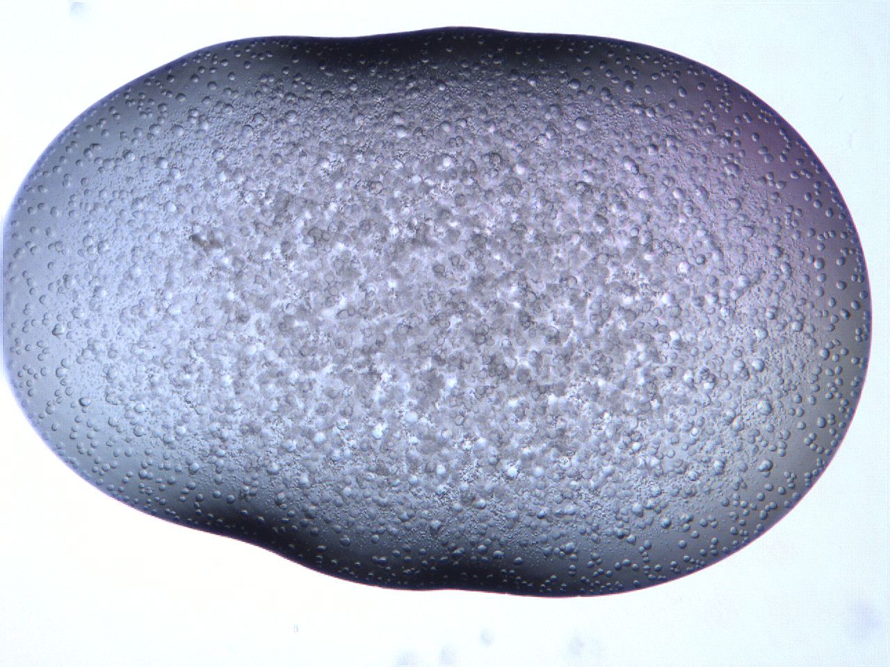06fa_H6_ImagerDefaults_2.jpg