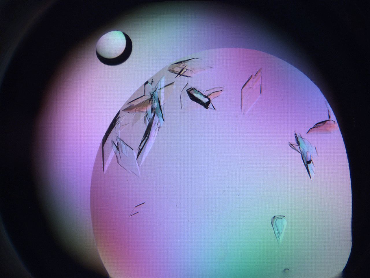 06fg_C1_ImagerDefaults_9.jpg