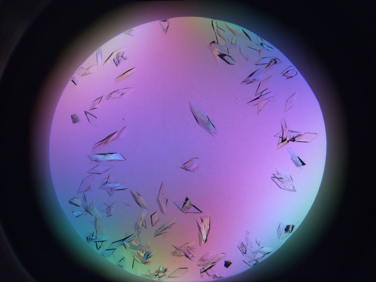 06fg_C3_ImagerDefaults_9.jpg