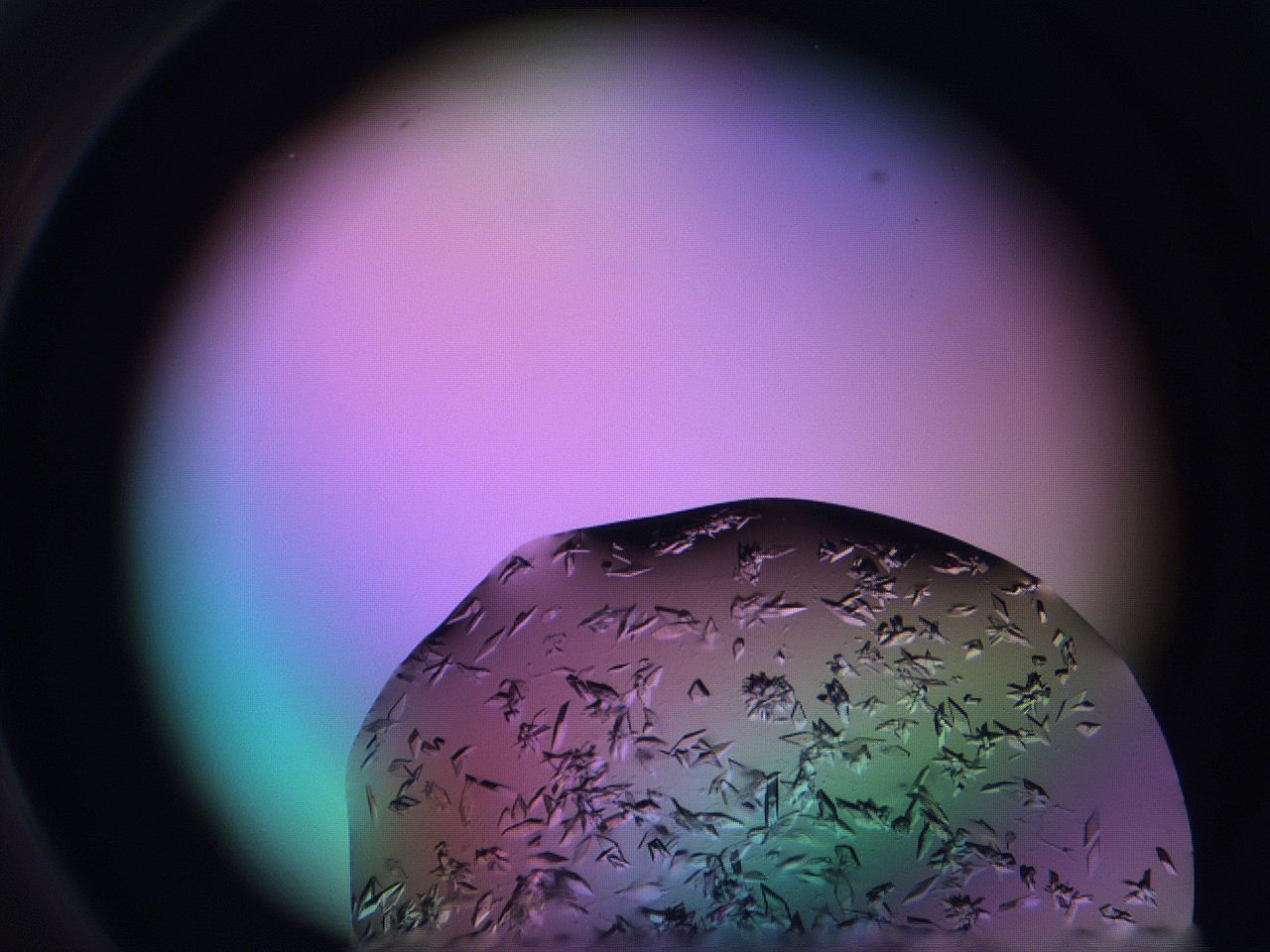06fg_D2_ImagerDefaults_9.jpg