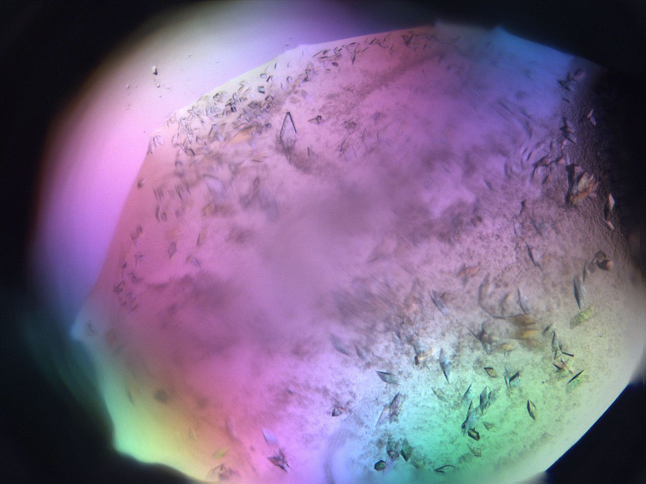 06fh_C5_ImagerDefaults_9.jpg