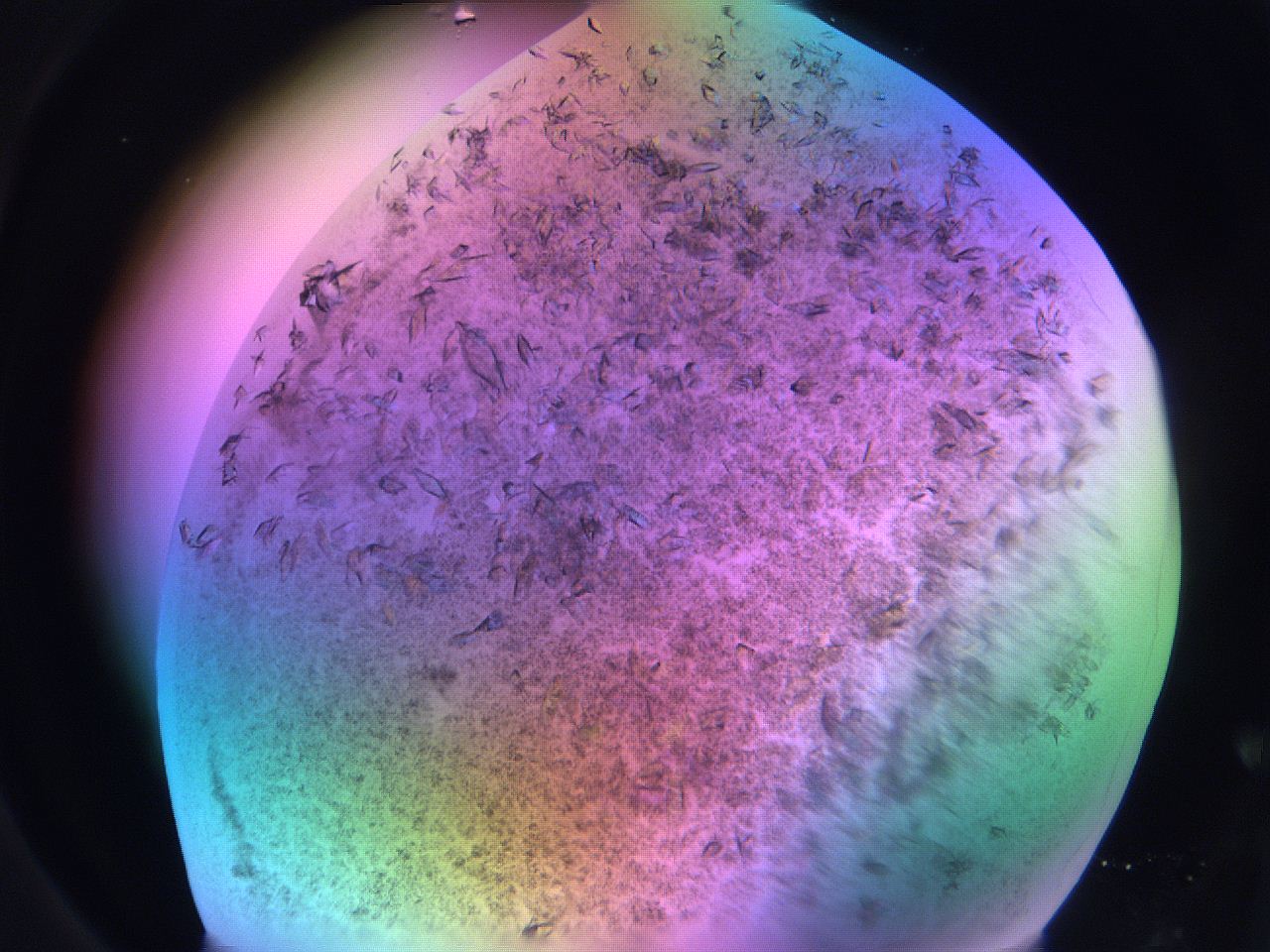 06fh_C3_ImagerDefaults_9.jpg