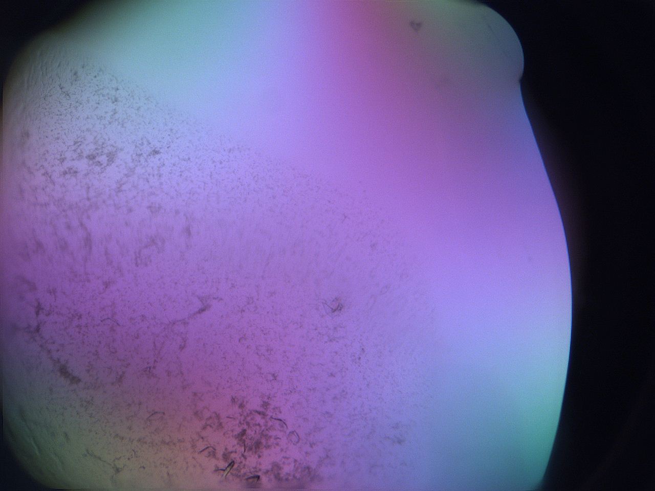 06fh_A5_ImagerDefaults_9.jpg