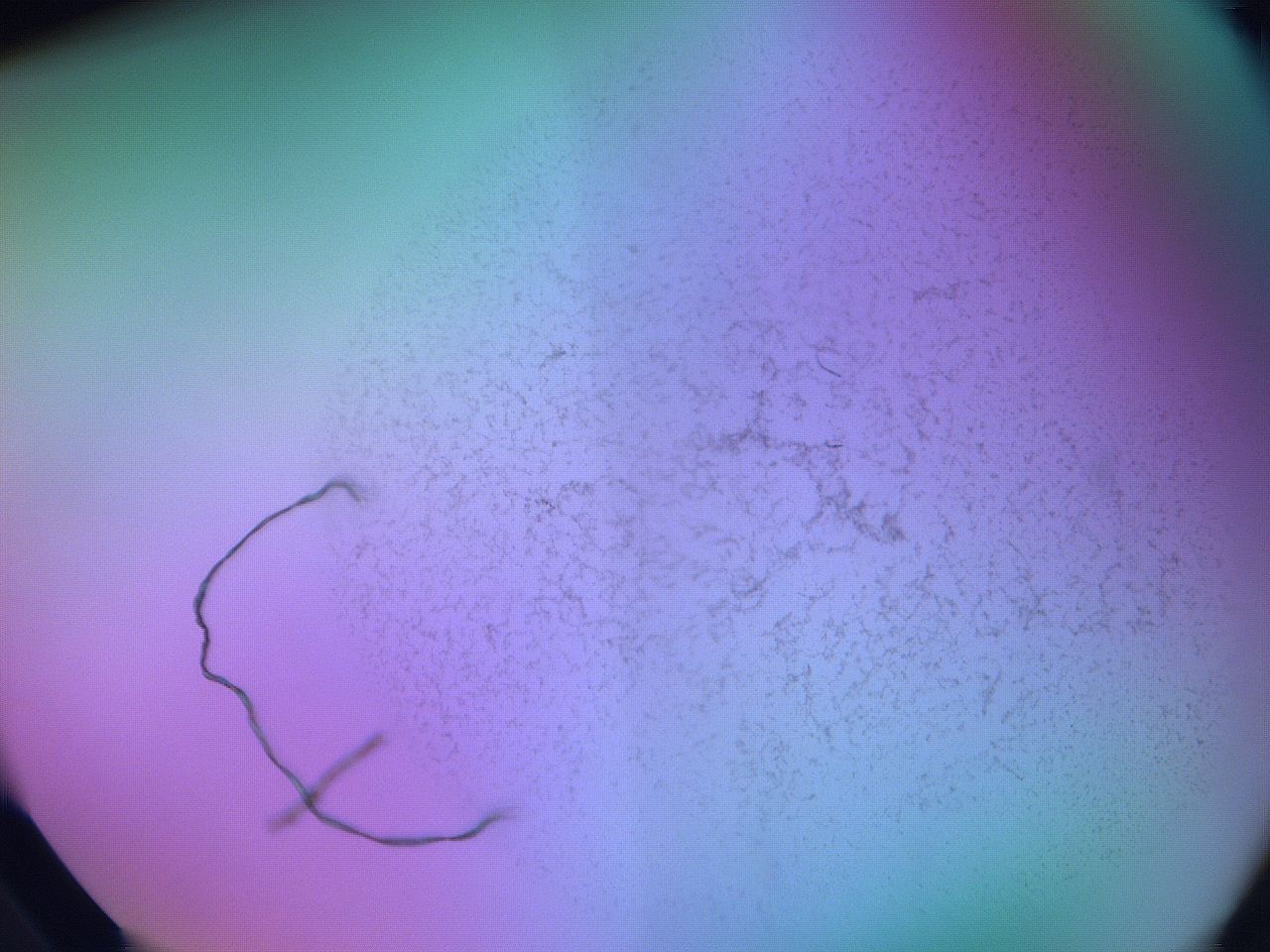 06fh_A6_ImagerDefaults_3.jpg