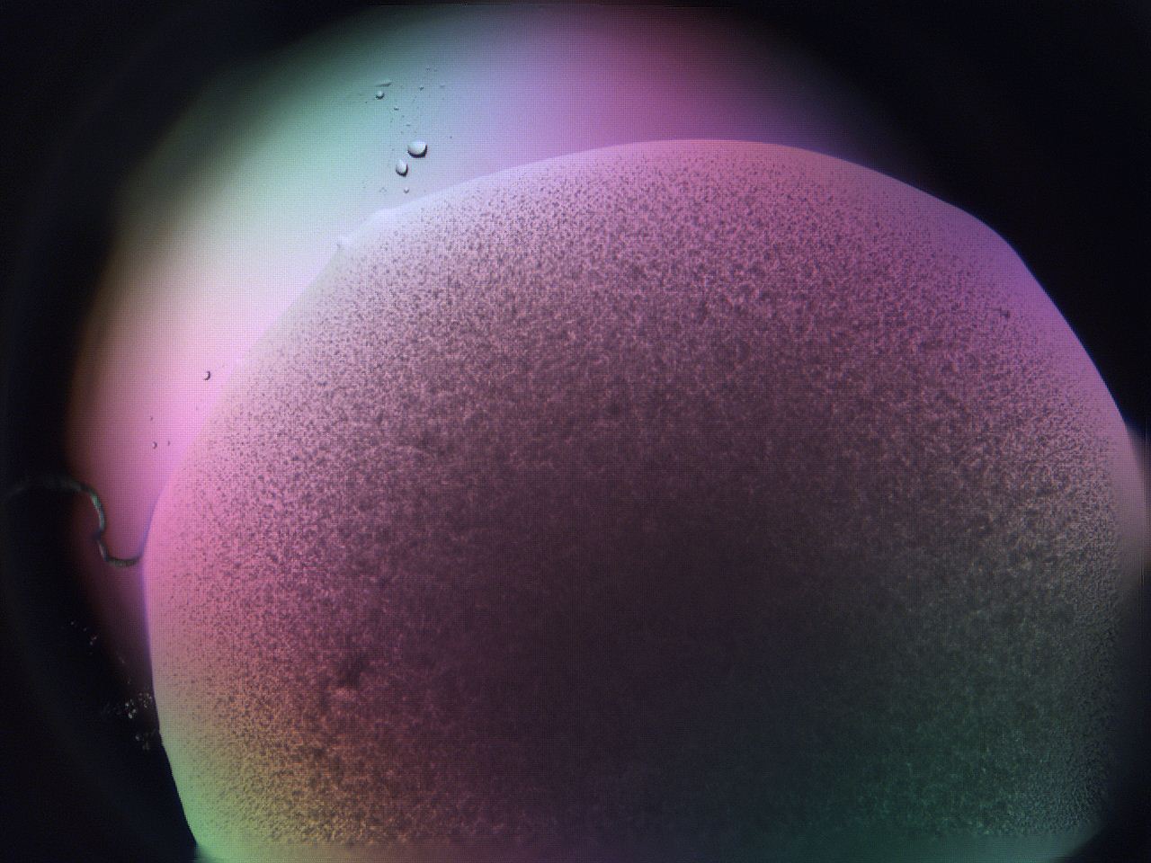 06fh_B4_ImagerDefaults_3.jpg