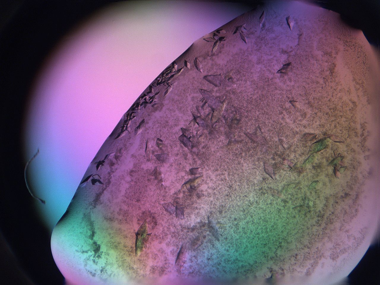 06fh_D2_ImagerDefaults_9.jpg