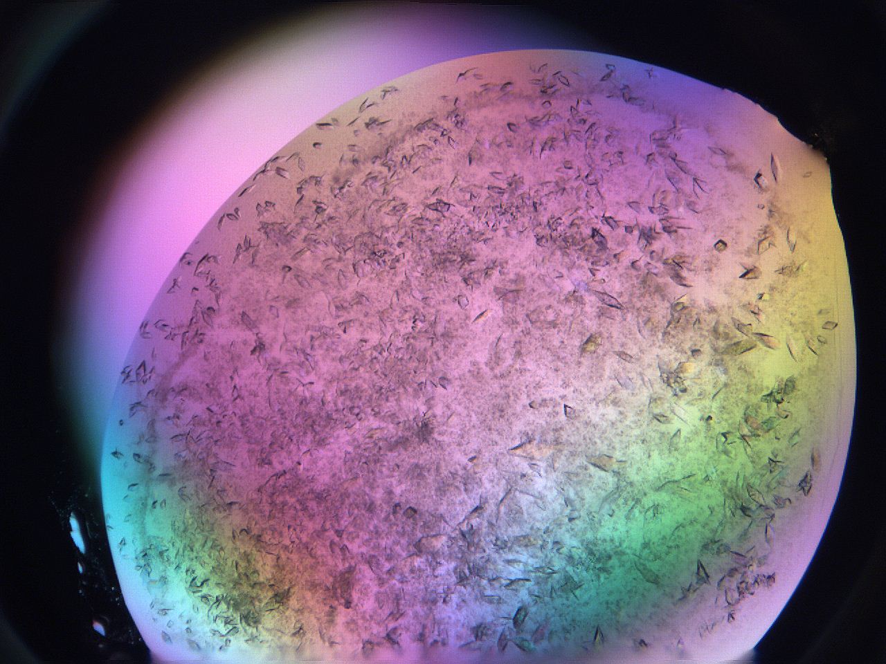 06fh_D3_ImagerDefaults_9.jpg