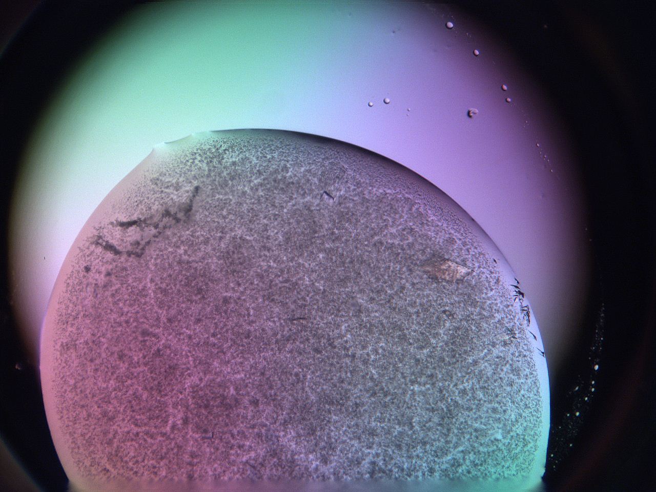 06fi_A6_ImagerDefaults_9.jpg