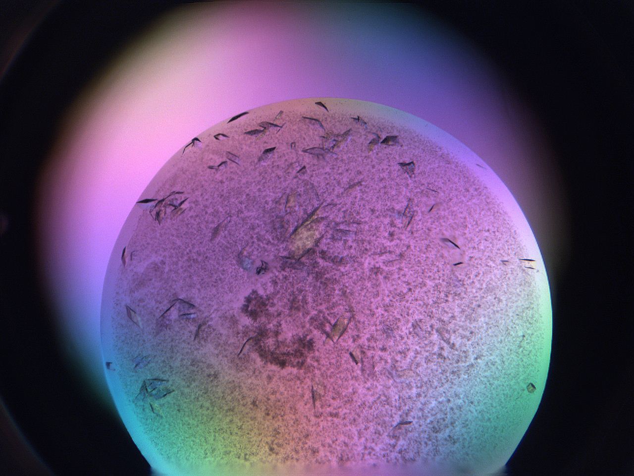 06fi_C3_ImagerDefaults_9.jpg