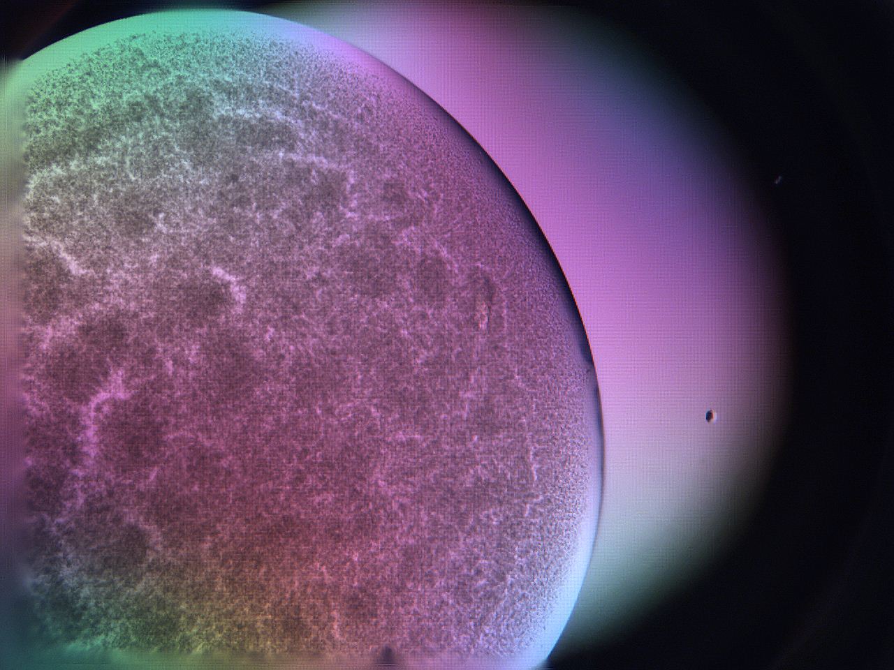 06fi_A5_ImagerDefaults_9.jpg
