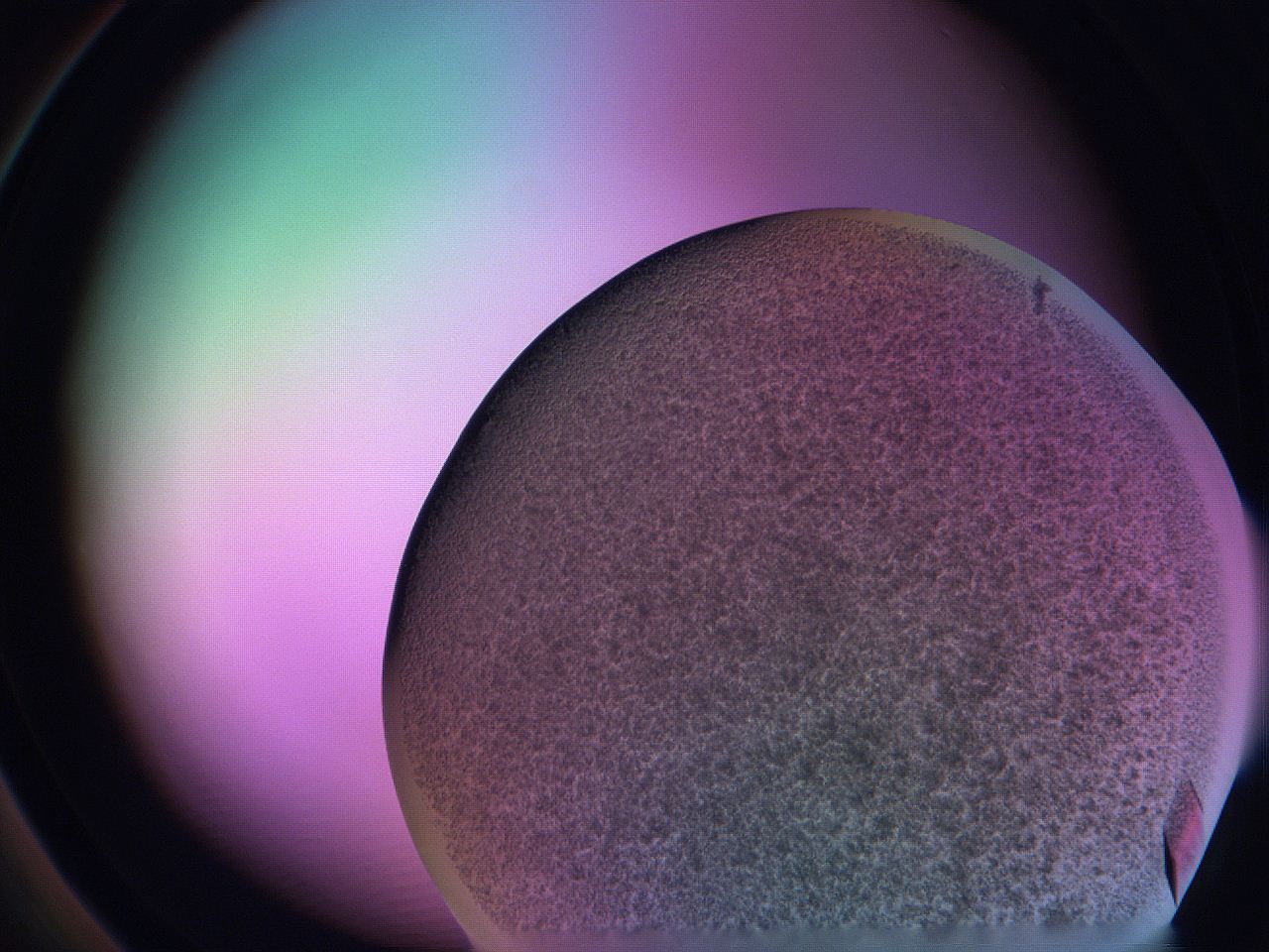 06fi_A3_ImagerDefaults_9.jpg