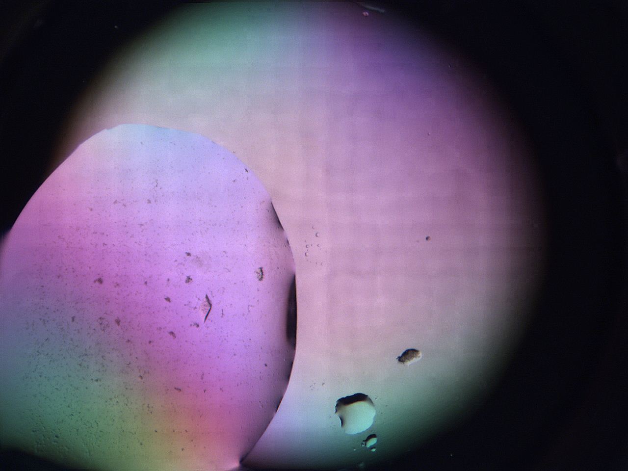 06fi_C6_ImagerDefaults_9.jpg