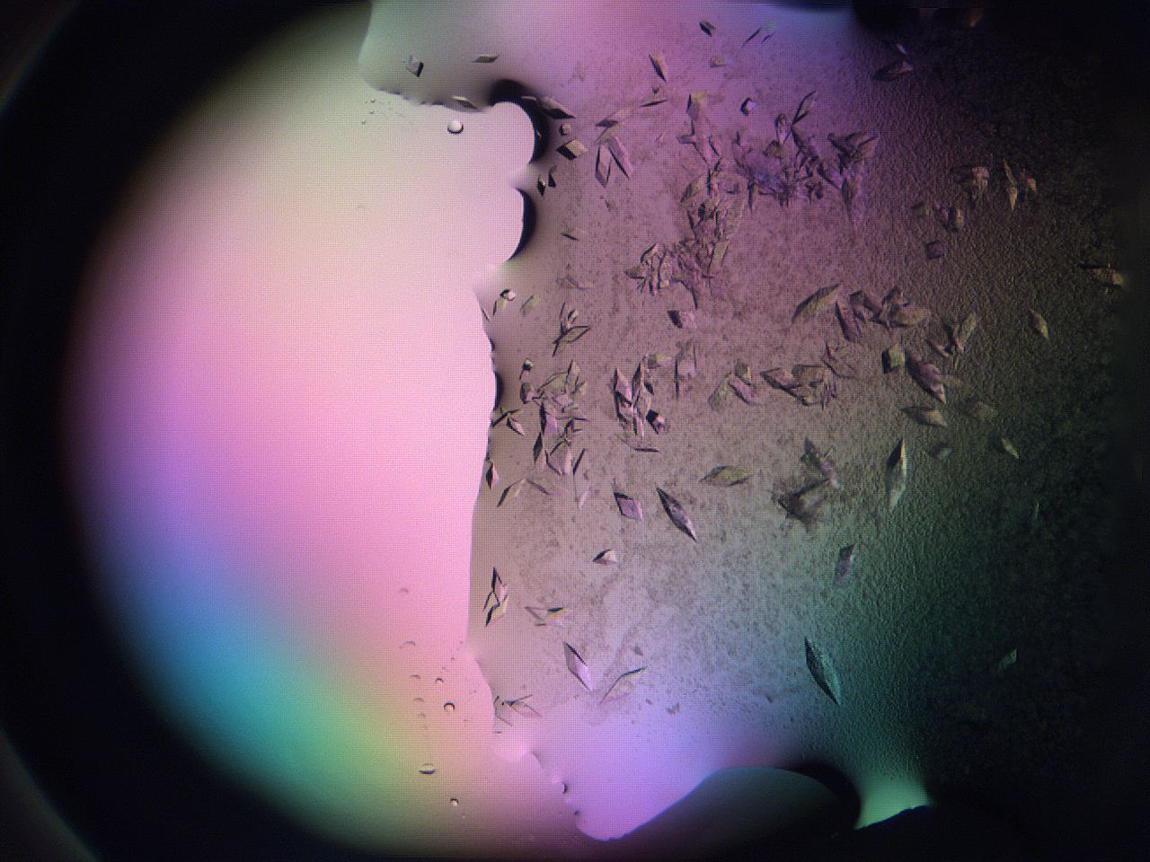 06fi_D1_ImagerDefaults_9.jpg