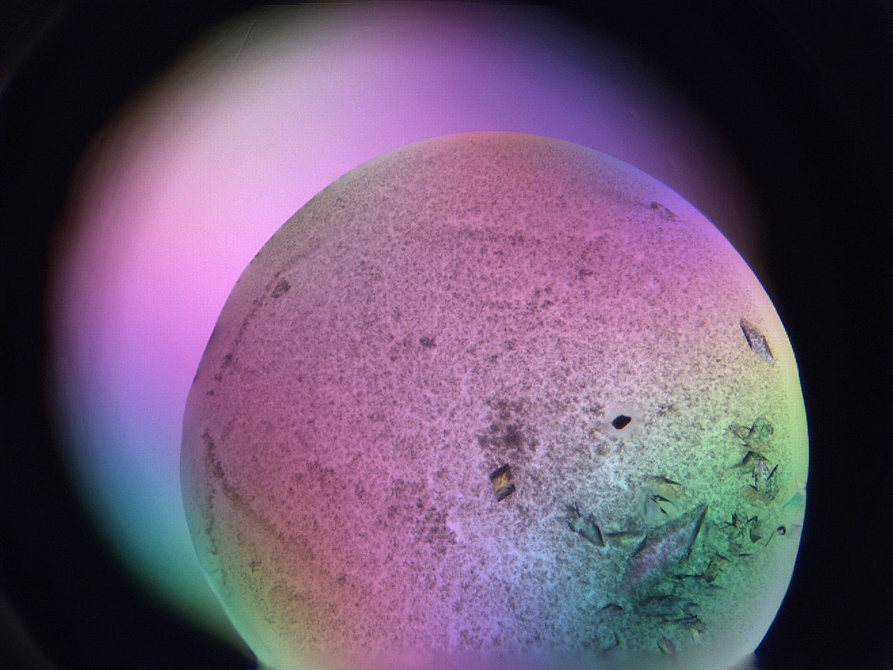 06fi_D4_ImagerDefaults_9.jpg