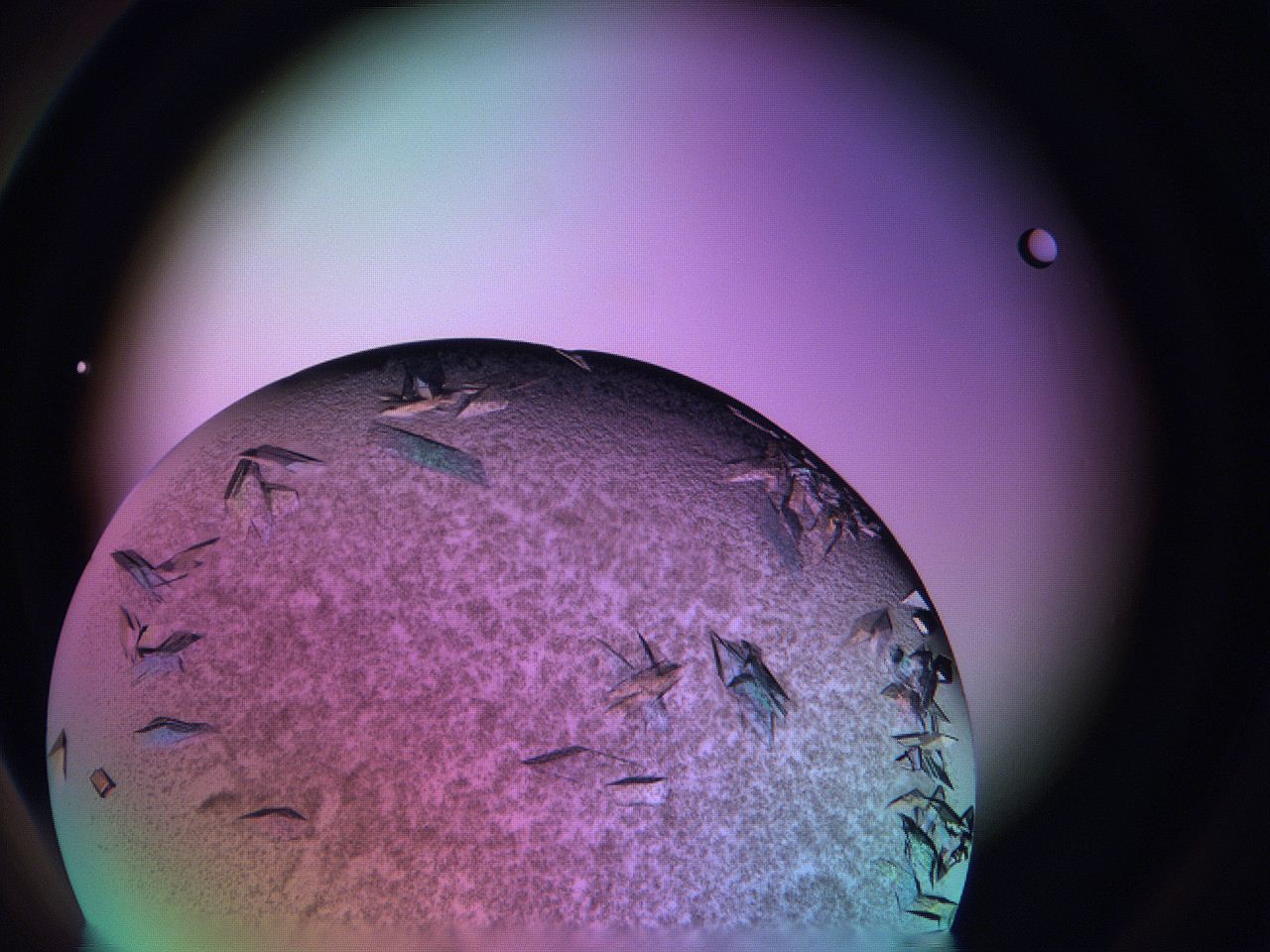06gd_A2_ImagerDefaults_9.jpg