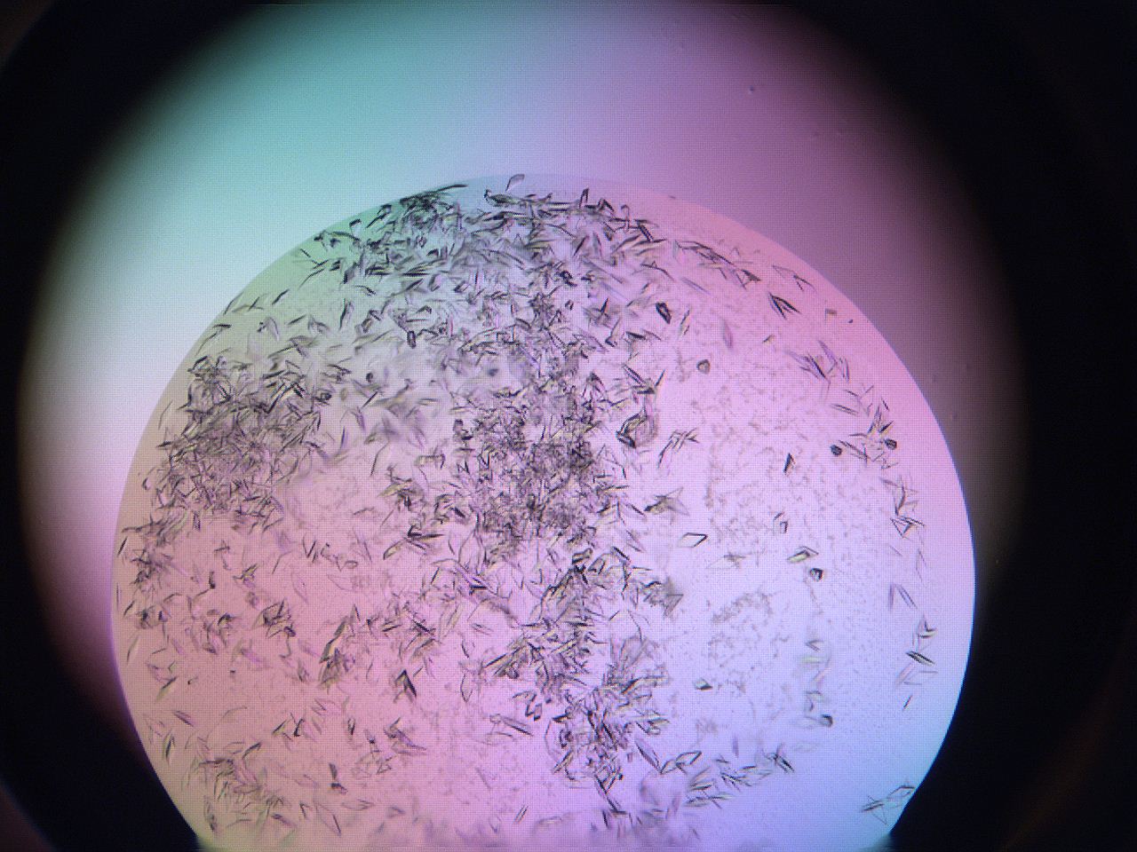 06gd_A6_ImagerDefaults_9.jpg