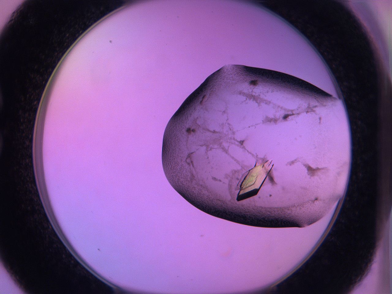 06h6_C9_ImagerDefaults_9.jpg