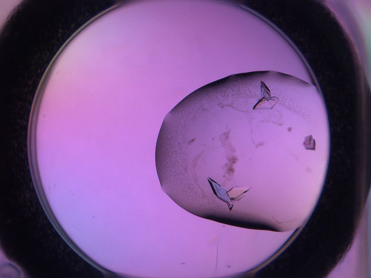 06h6_D10_ImagerDefaults_9.jpg