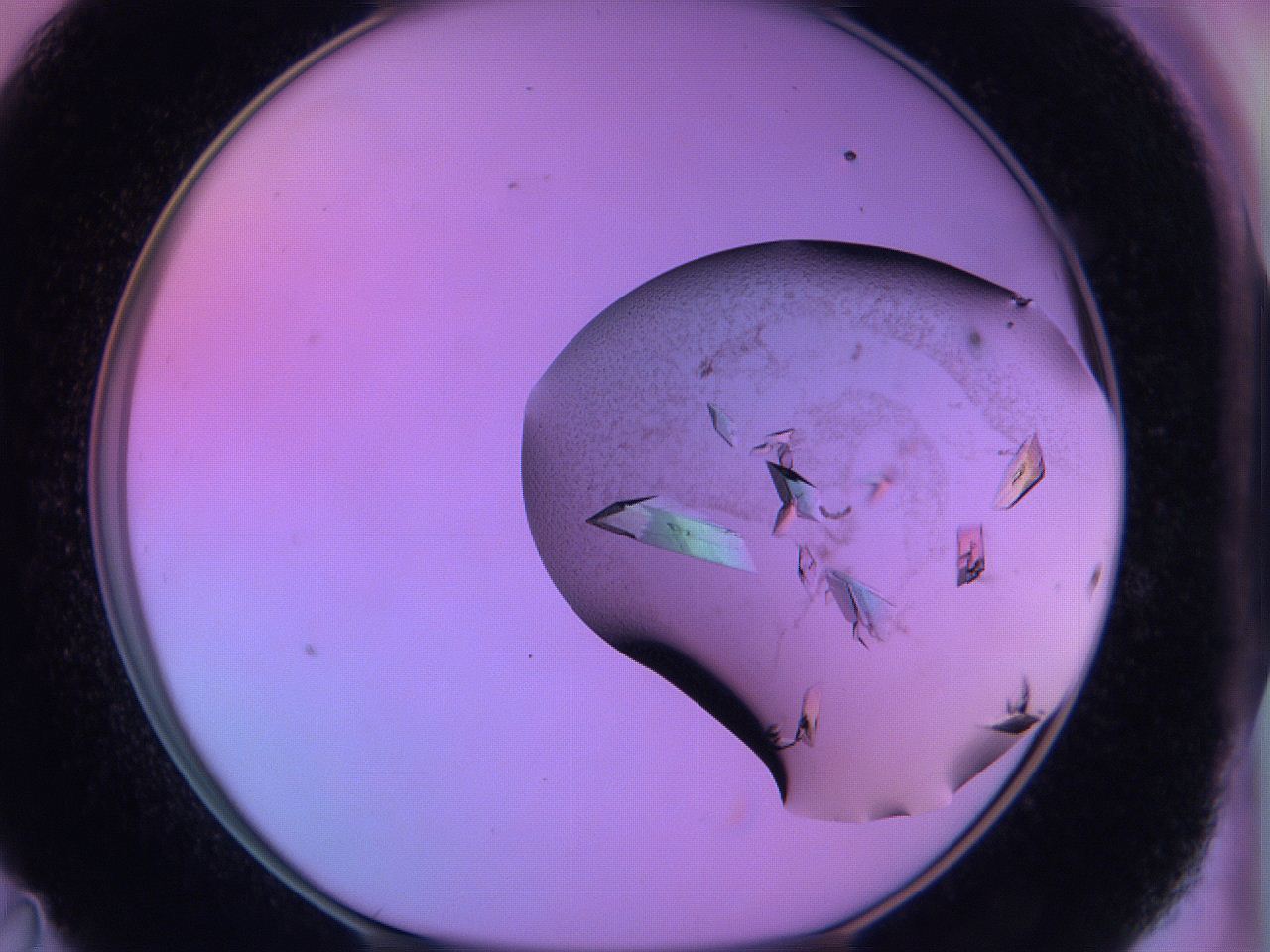 06h6_D11_ImagerDefaults_9.jpg