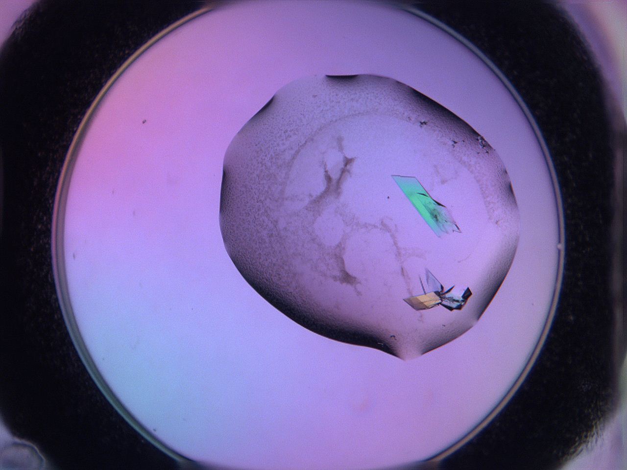 06h6_D12_ImagerDefaults_9.jpg