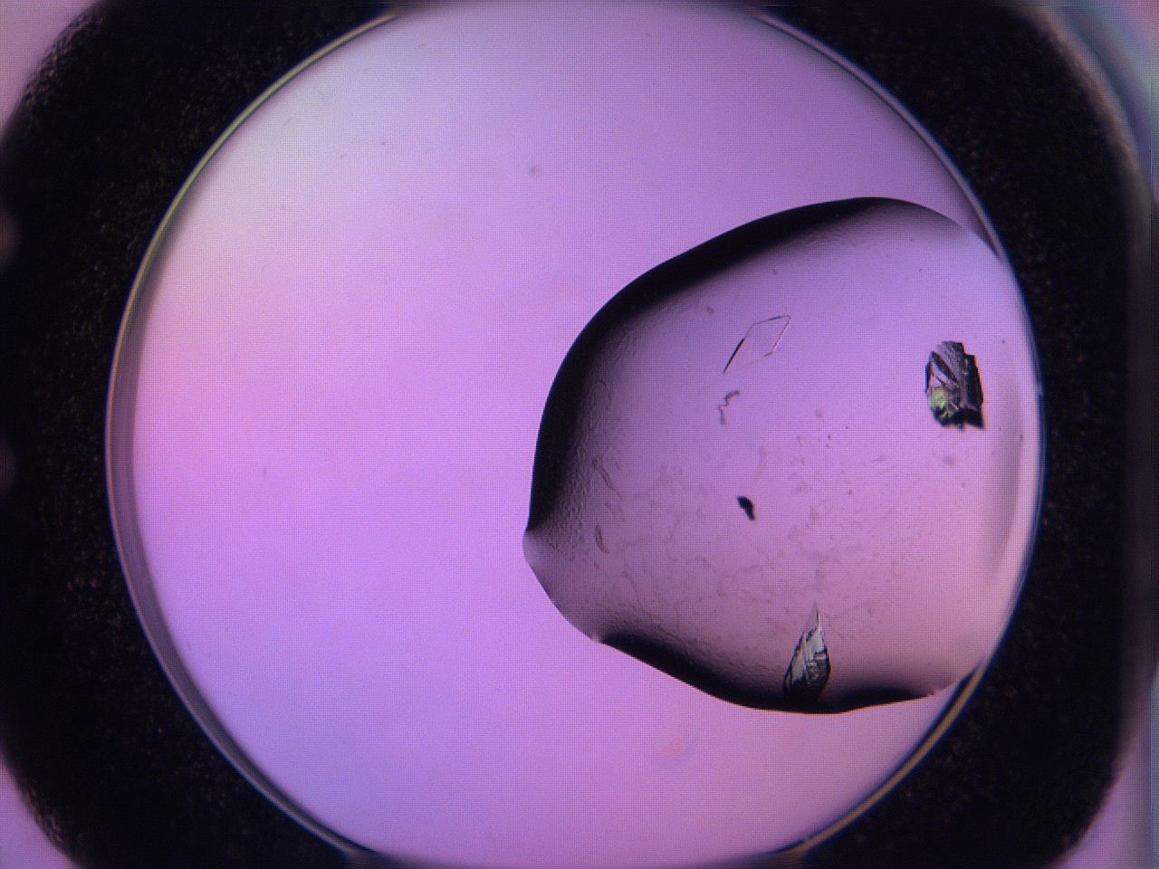 06h6_E2_ImagerDefaults_9.jpg