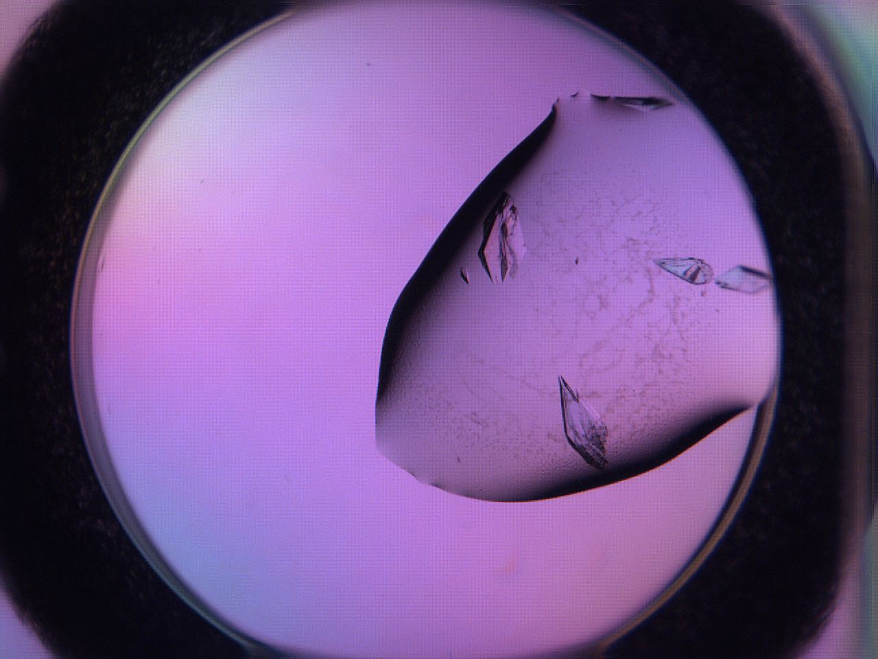06h6_E5_ImagerDefaults_9.jpg