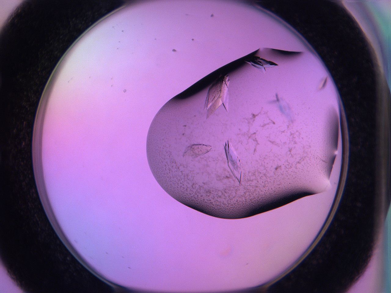 06h6_E8_ImagerDefaults_9.jpg