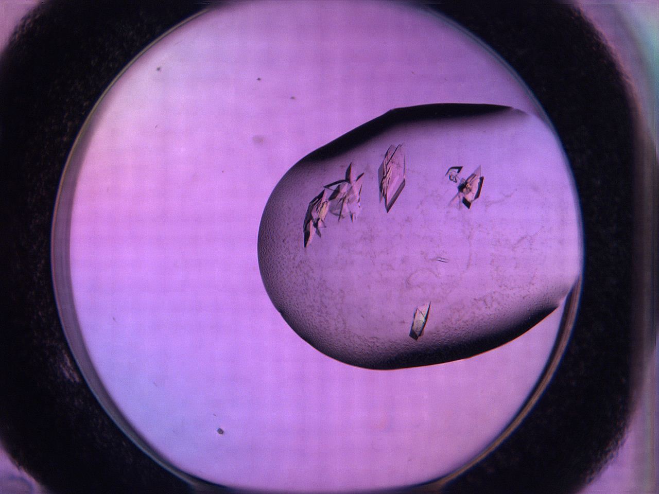 06h6_E10_ImagerDefaults_9.jpg