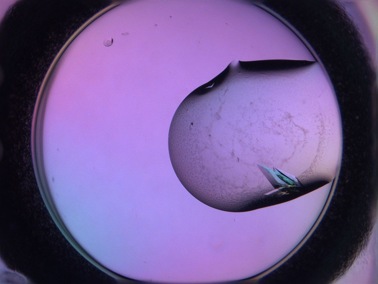 06h6_E12_ImagerDefaults_9.jpg