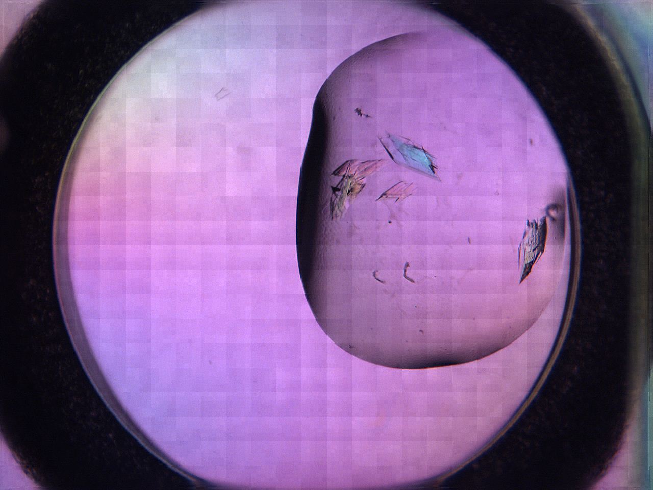 06h6_F3_ImagerDefaults_9.jpg
