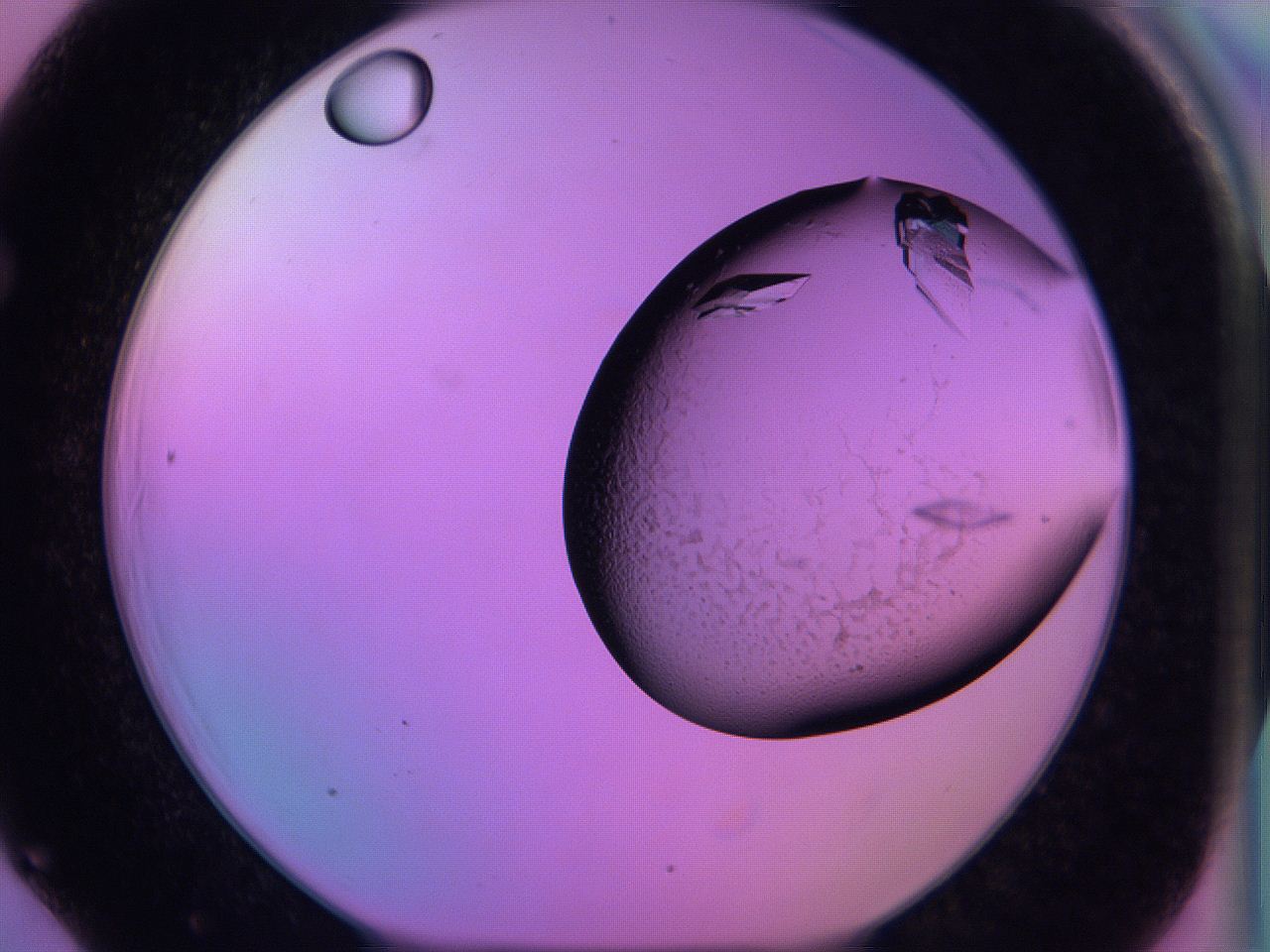 06h6_F6_ImagerDefaults_9.jpg