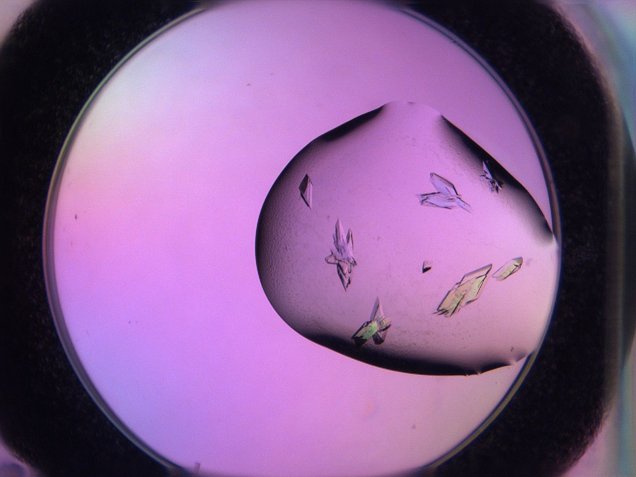 06h6_F10_ImagerDefaults_9.jpg