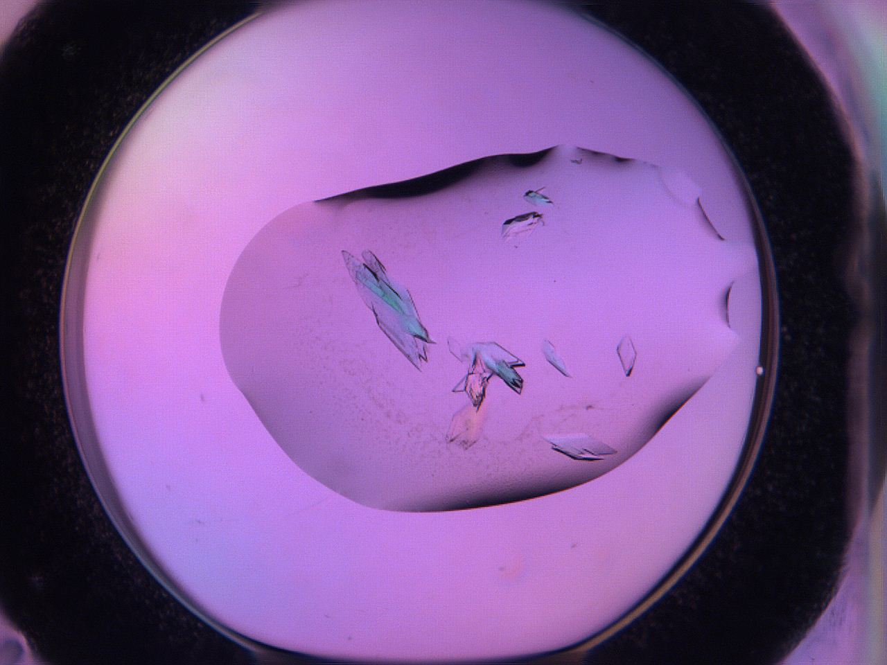 06h6_F11_ImagerDefaults_9.jpg