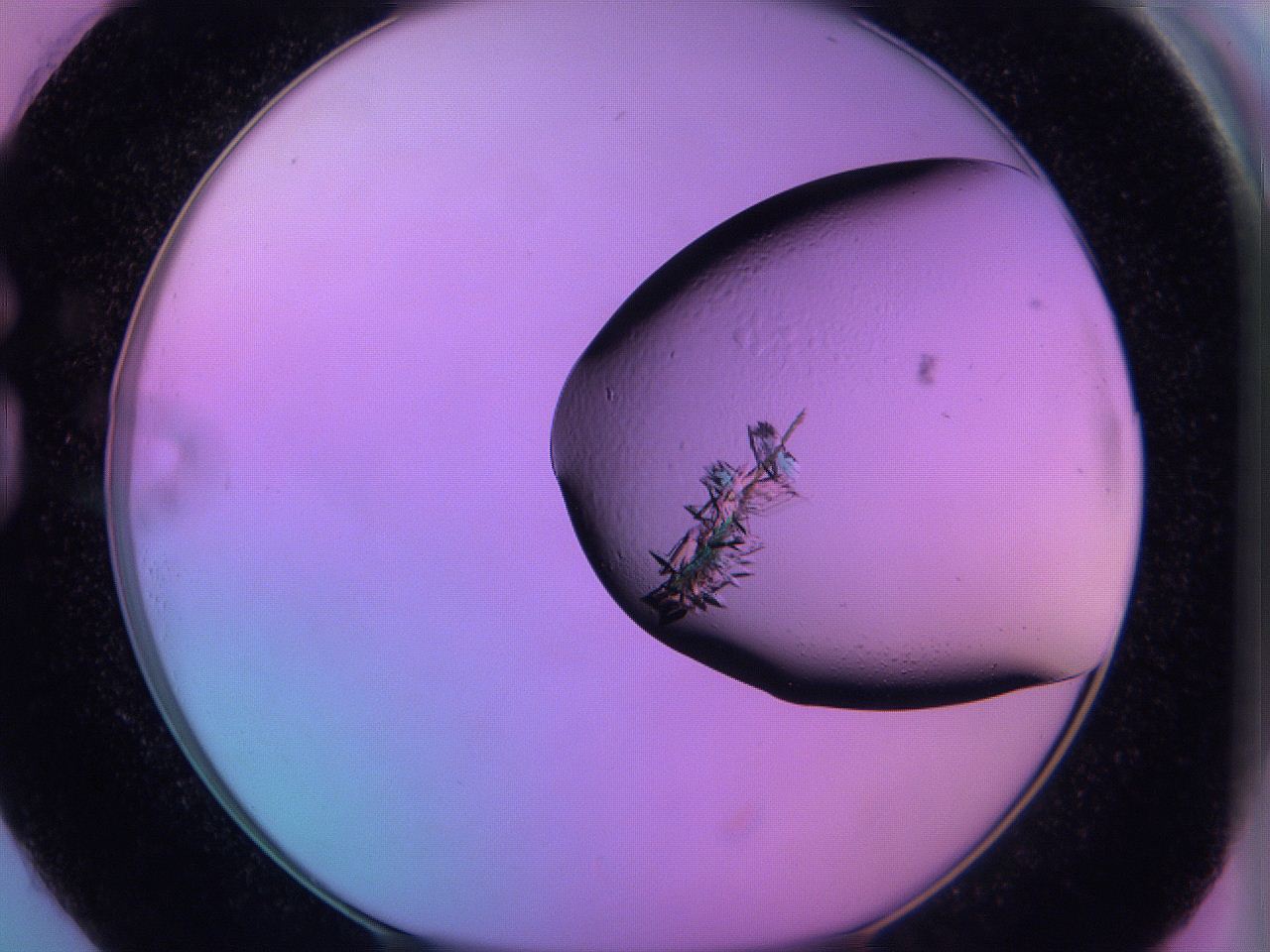 06h6_G1_ImagerDefaults_9.jpg