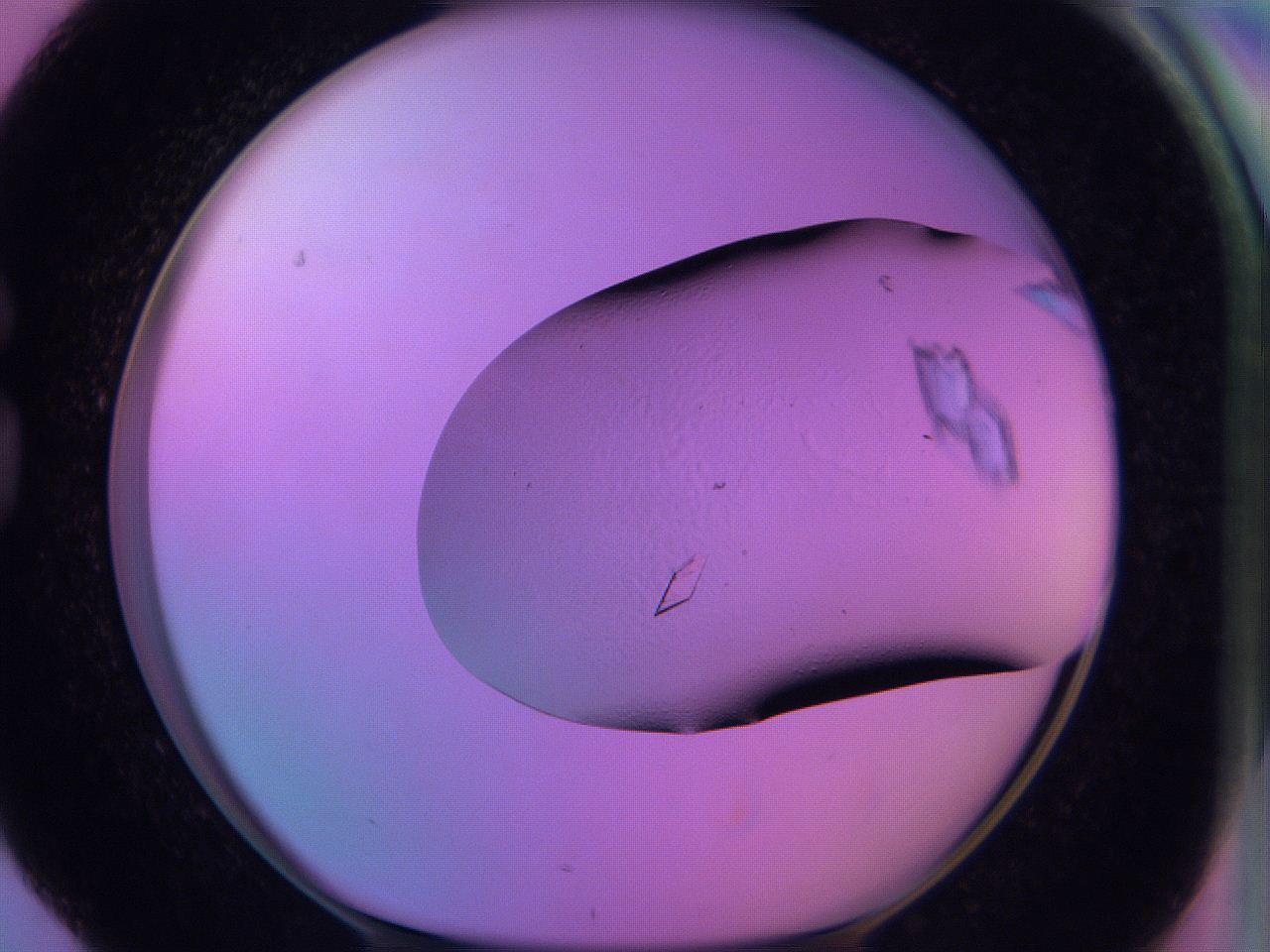 06h6_G4_ImagerDefaults_9.jpg