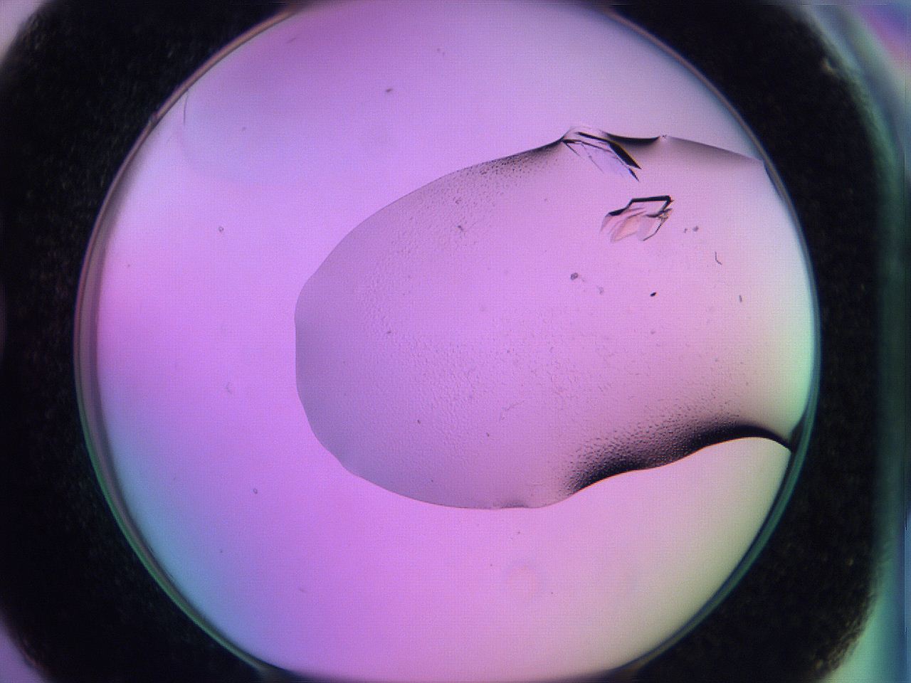 06h6_G7_ImagerDefaults_9.jpg