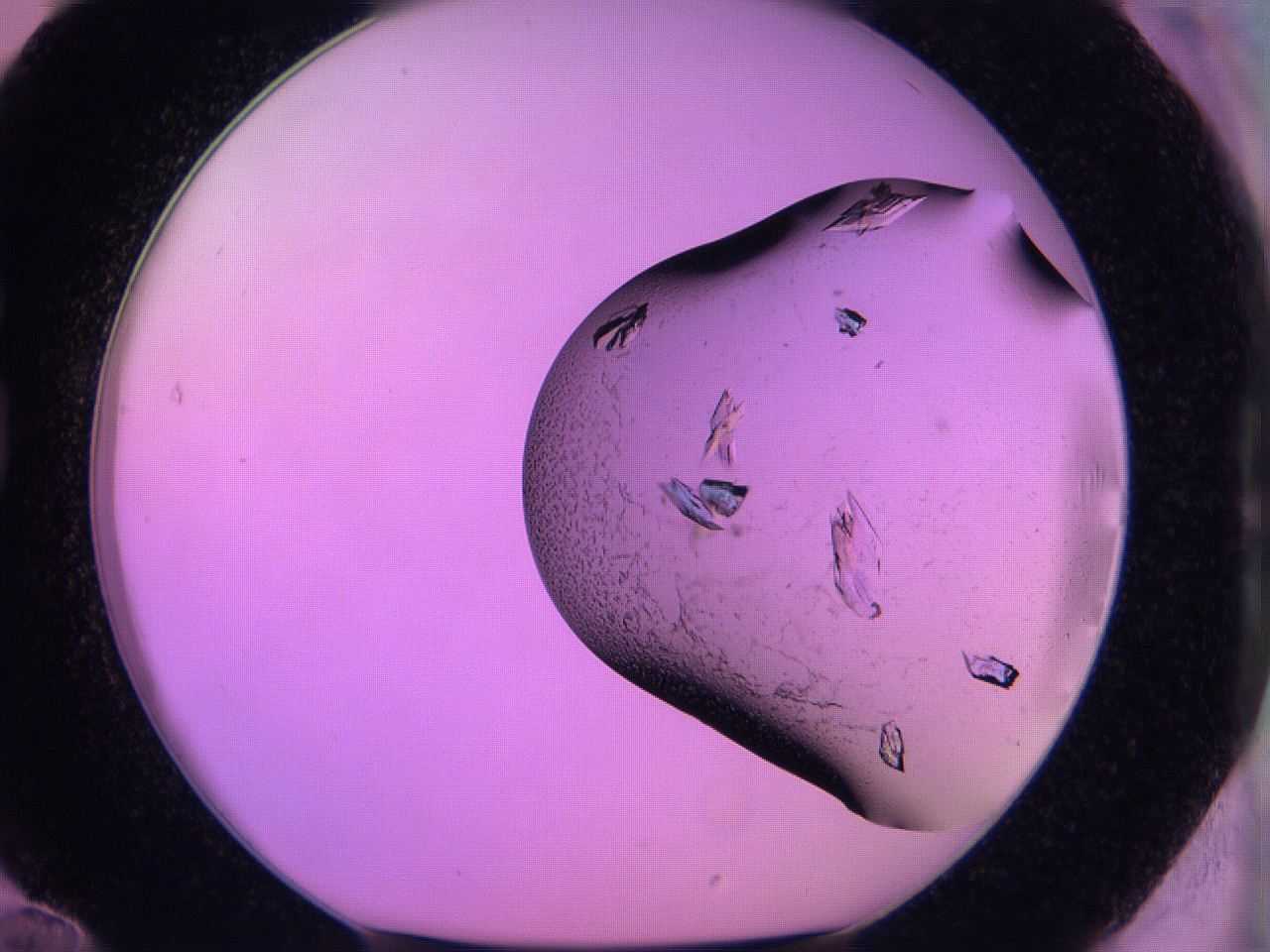 06h6_G12_ImagerDefaults_9.jpg