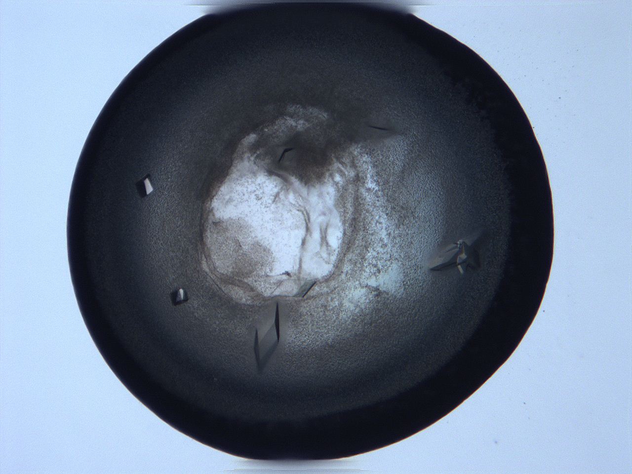 06h8_D11_ImagerDefaults_9.jpg