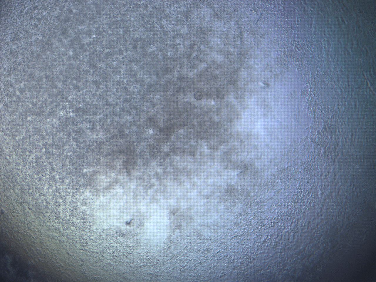 06h8_G1_ImagerDefaults_3.jpg