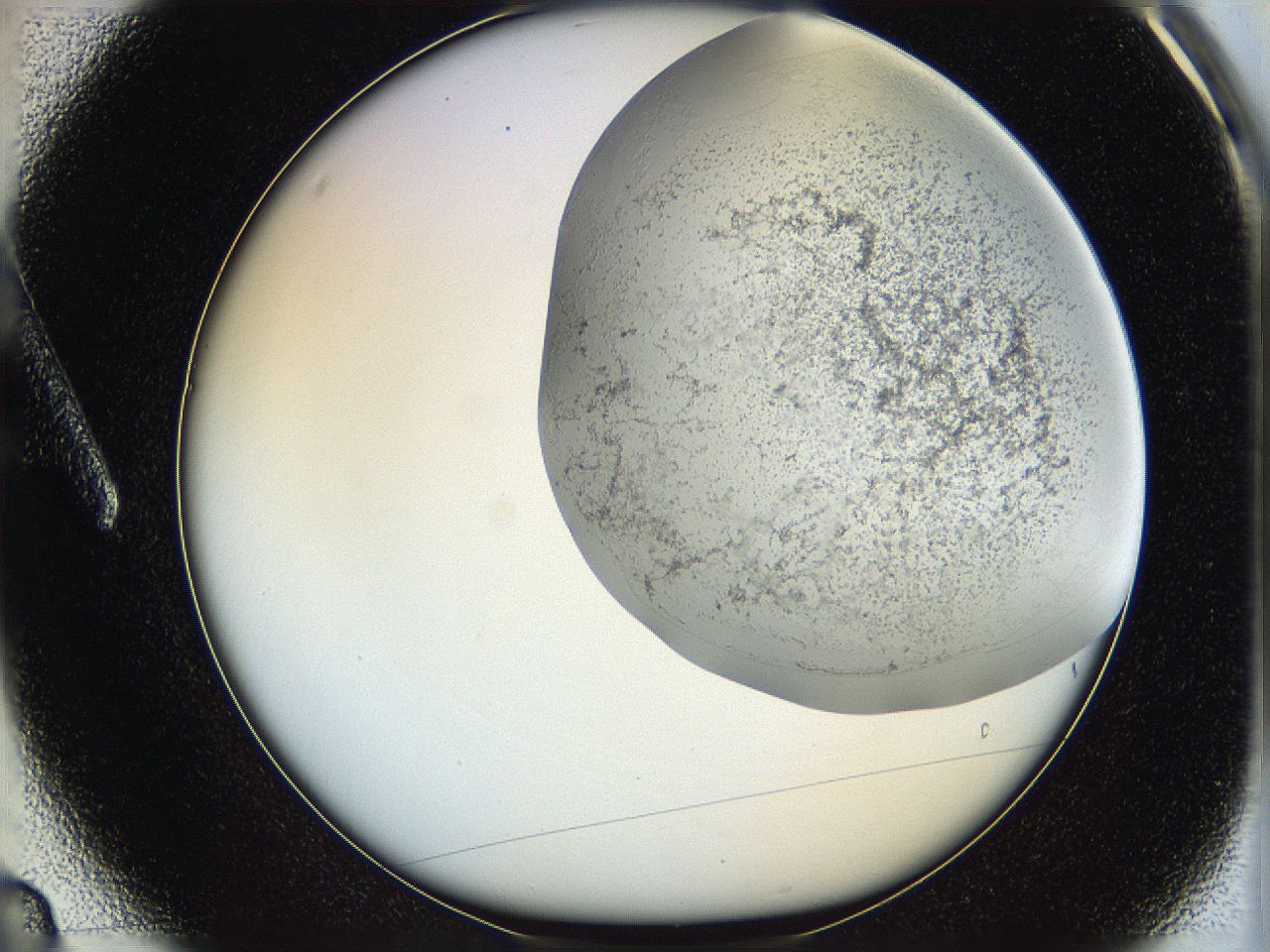 06hf_A3_ImagerDefaults_2.jpg