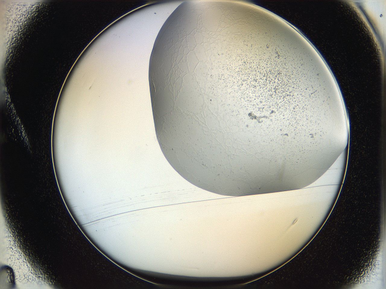 06hf_A4_ImagerDefaults_2.jpg
