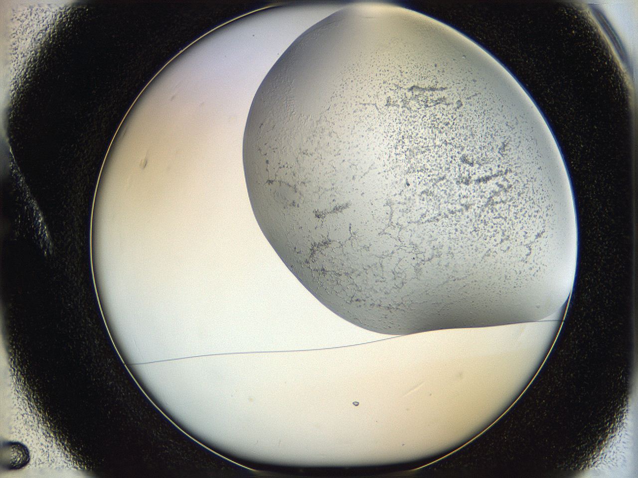 06hf_A5_ImagerDefaults_2.jpg