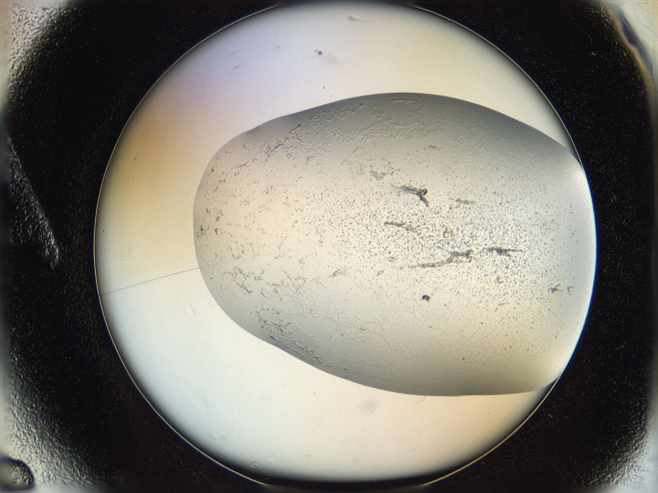 06hf_A6_ImagerDefaults_2.jpg