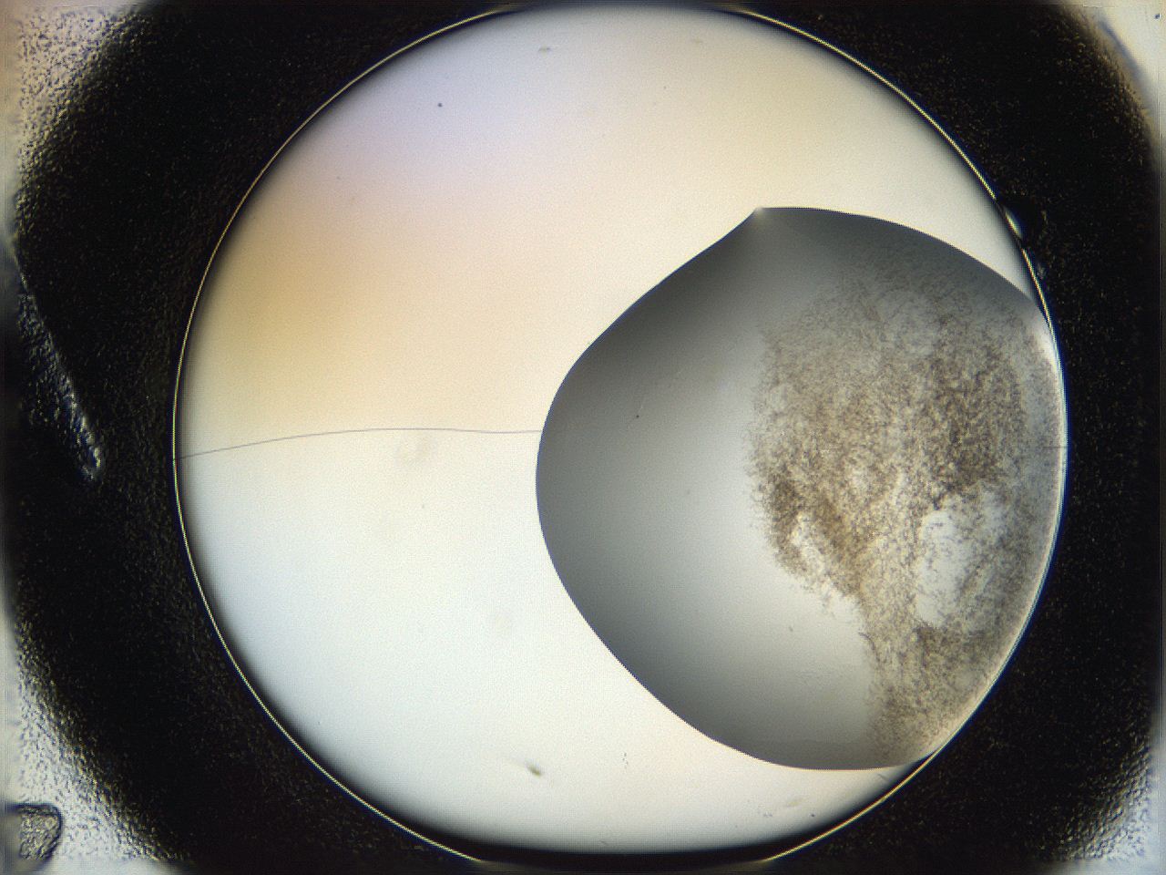 06hf_A7_ImagerDefaults_3.jpg