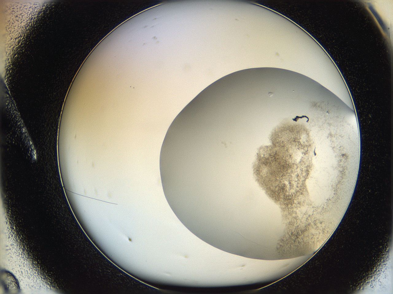 06hf_A8_ImagerDefaults_3.jpg