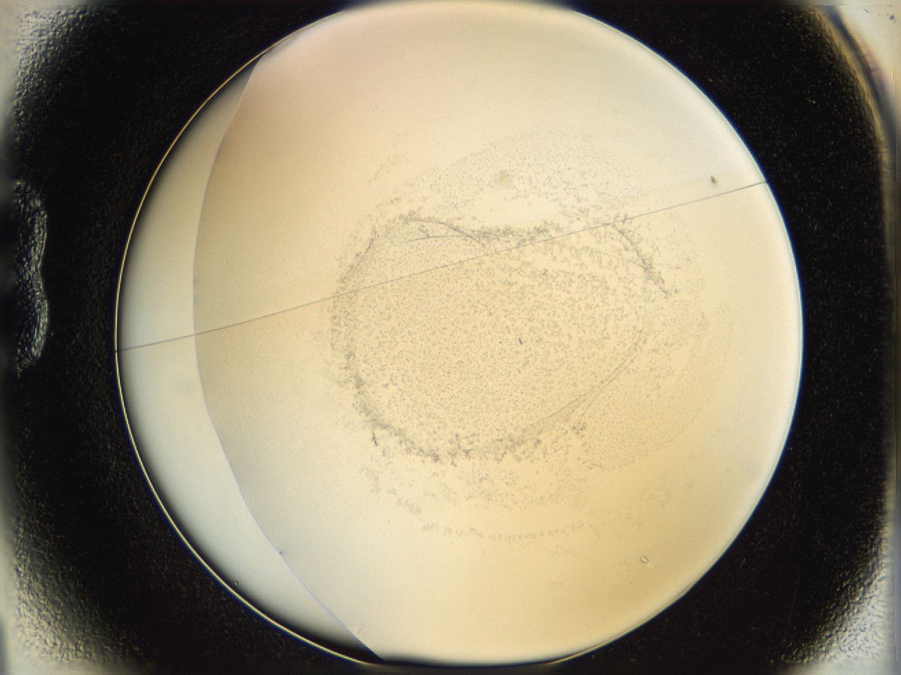06hf_B1_ImagerDefaults_2.jpg