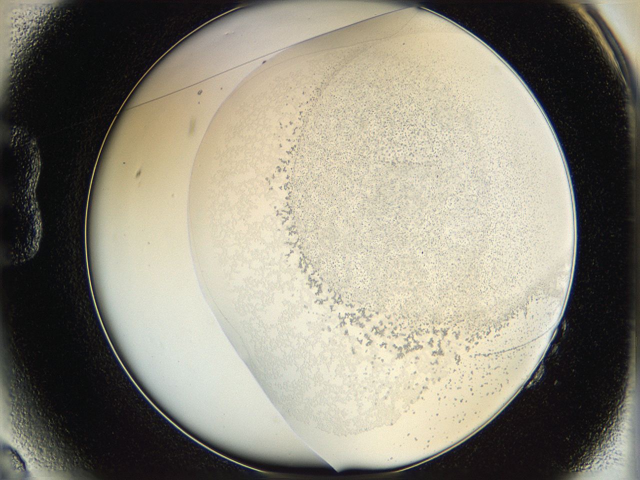 06hf_B2_ImagerDefaults_5.jpg