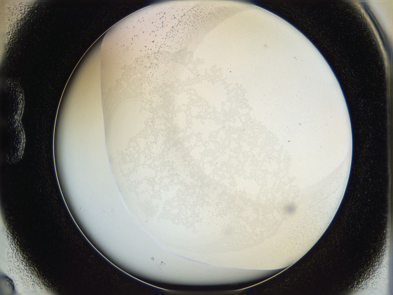 06hf_B3_ImagerDefaults_5.jpg