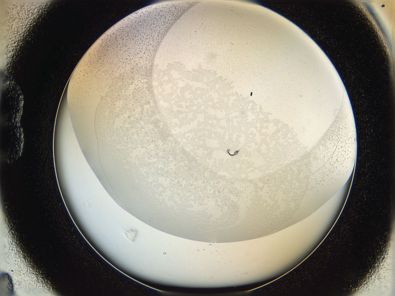 06hf_B4_ImagerDefaults_5.jpg